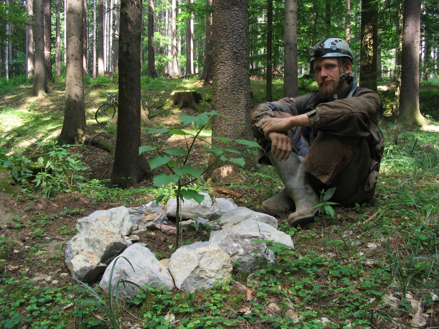 Mahéšvaránandova lípa krátce po zasazení od poustevníka Gyaneshwarpuri (na fotografii). Foto: Zbyšek Macháček 2007.