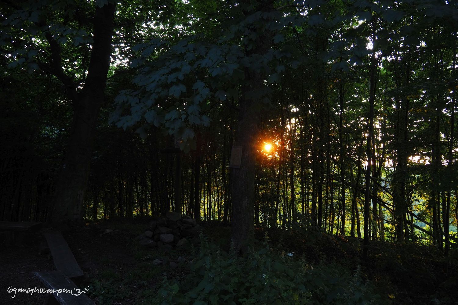 Západ slunce v lese na Hradisku sv. Klimenta.   Foto: Marek Gyaneshwarpuri 2021.