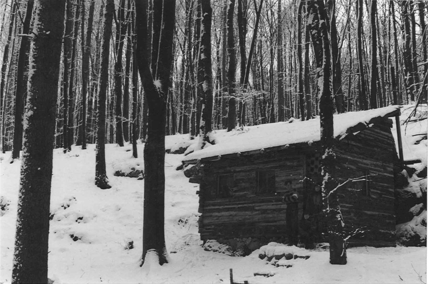 Novodvorský ponor, jeskyně Ponorný hrádek: naše speleologická základna Domeček.  Foto: Marek Šenkyřík (90. léta)