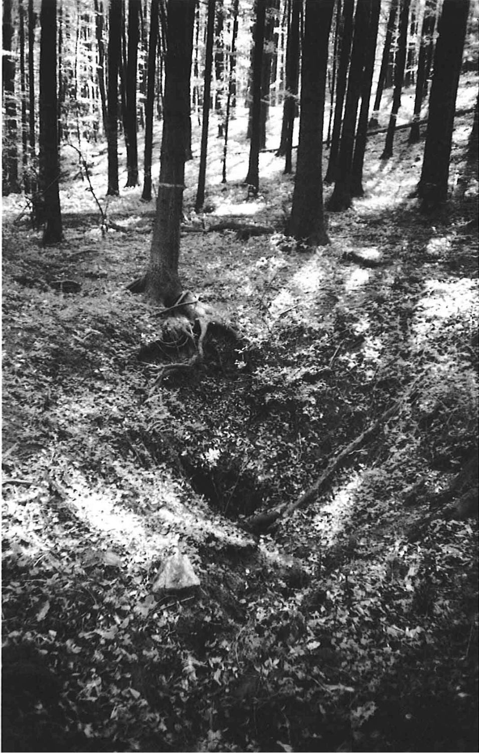 Novodvorský ponor, jeskyně Ponorný hrádek: původní stav závrtu.  Foto: Marek Šenkyřík (1989)