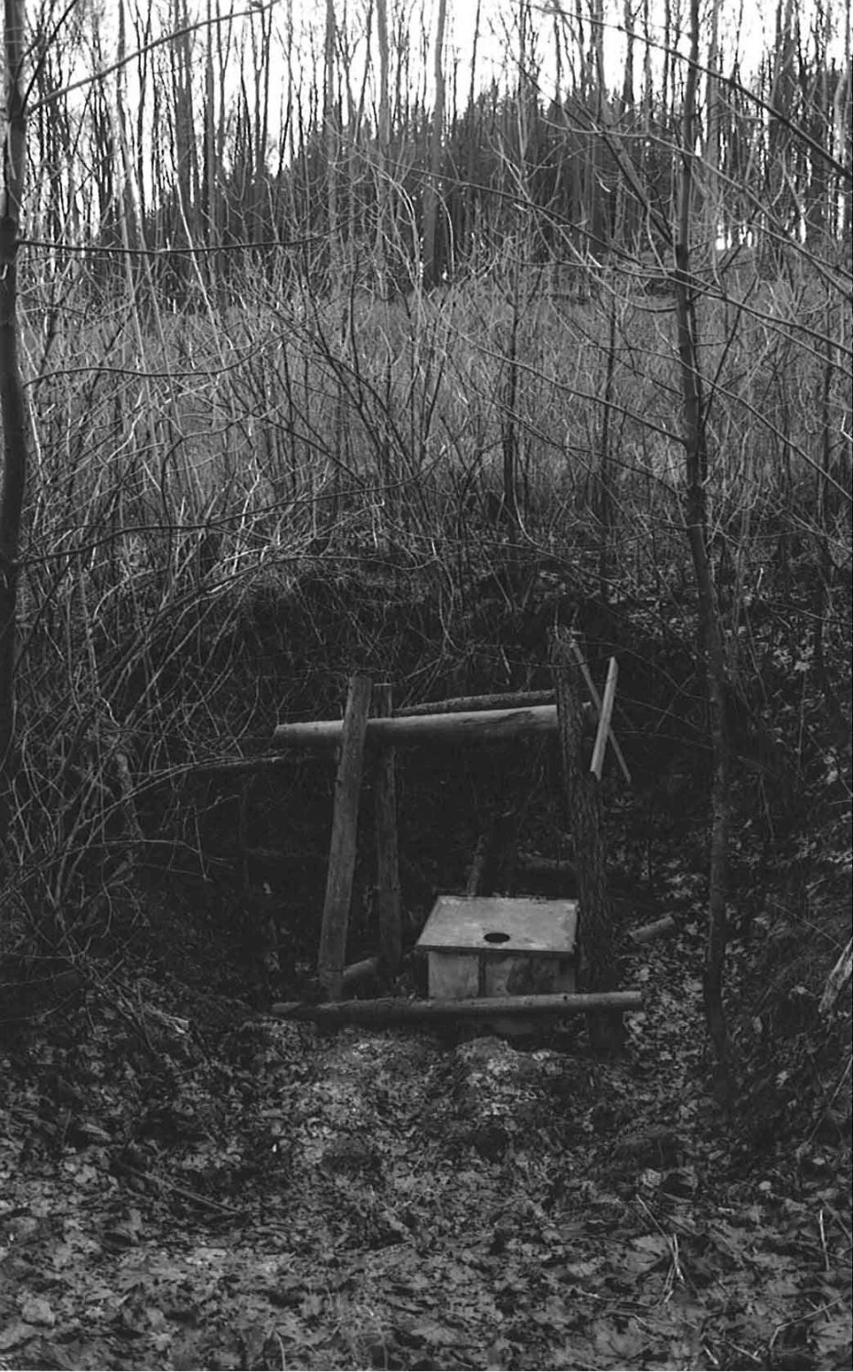 Novodvorský ponor, jeskyně Ponorný hrádek.  Foto: Marek P. Šenkyřík 2005