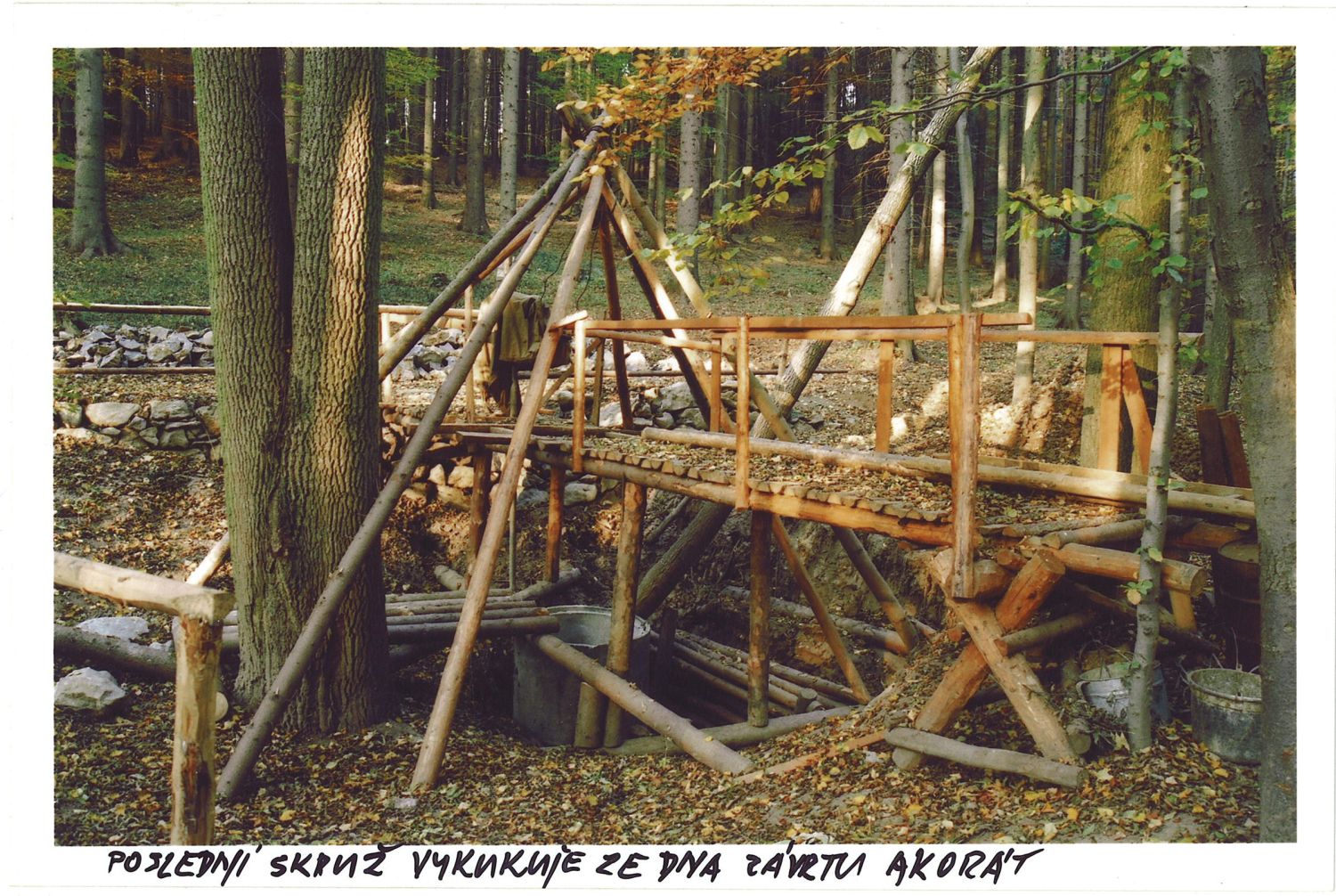 Závrt u Habrůveckých smrků na Habrůvecké plošině.    Foto: Marek P. Šenkyřík 2006.