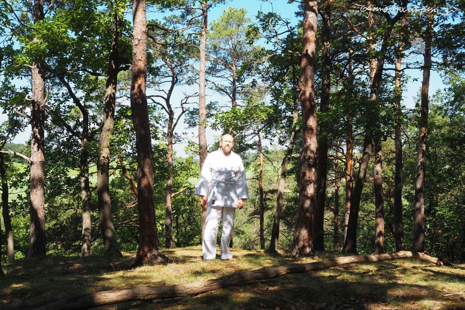 Hradisko u Bosonoh - začal jsem cvičit aikido, Svámí Gyaneshwarpuri, samospoušť 2022.