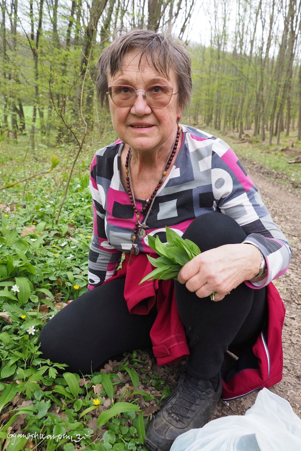 Anna Šenkyříková, maminka svámího Gyaneshwarpuri na sběru česnáčku u Omic  2024.