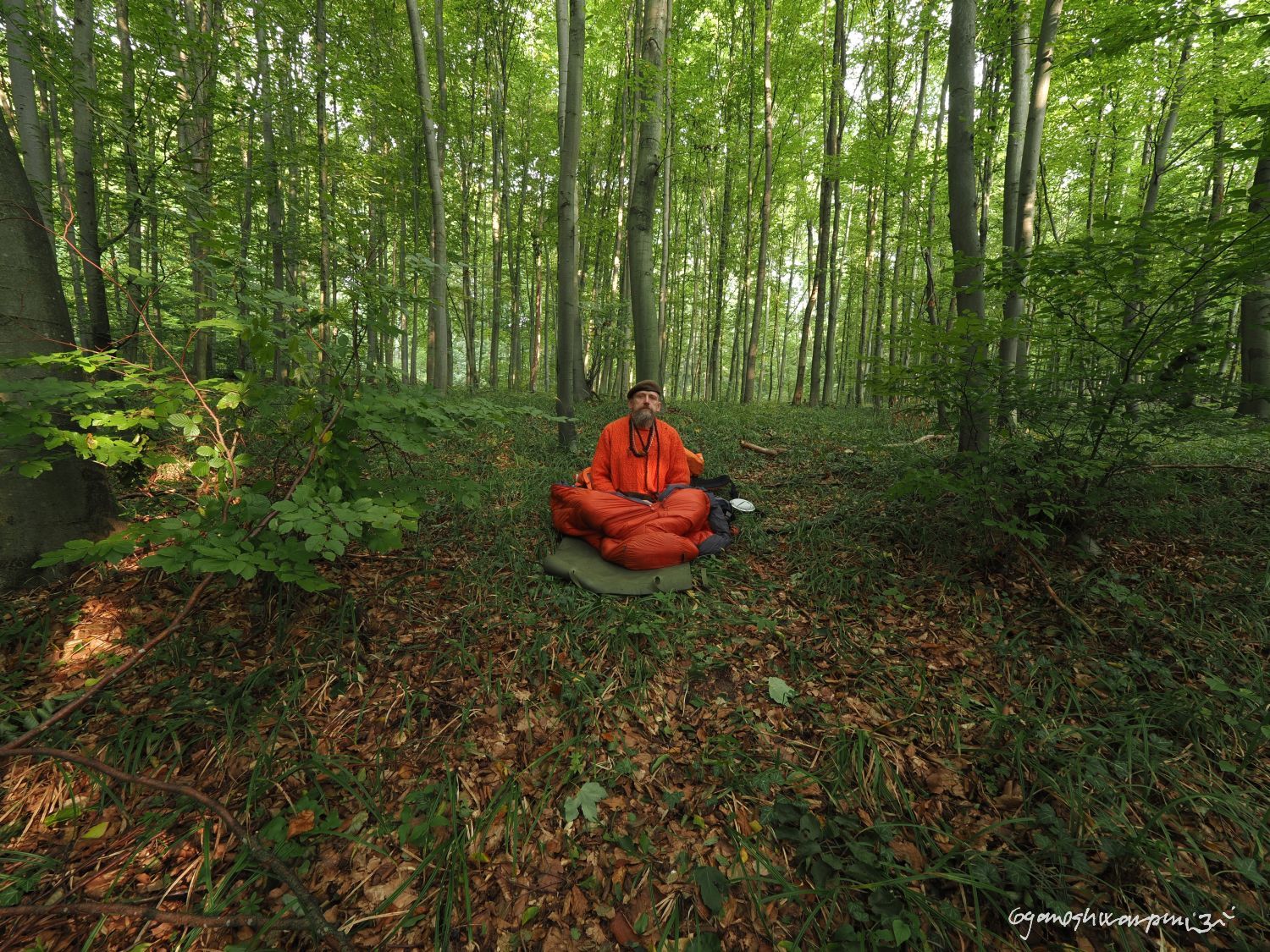 Nová pouť do jeskyně Samádhí skončila v lese nad Výpustkem. Svámí Gyaneshwarpuri, samospoušť 2025.