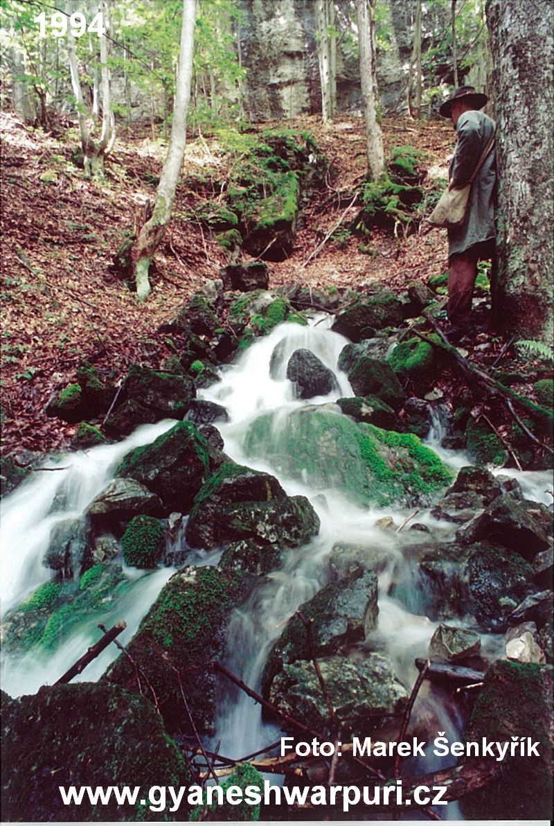 Slovenský ráj - mohutný povodňový vývěr glackých vod pod jeskyní Poustevna. Foto: Marek Šenkyřík 1994.