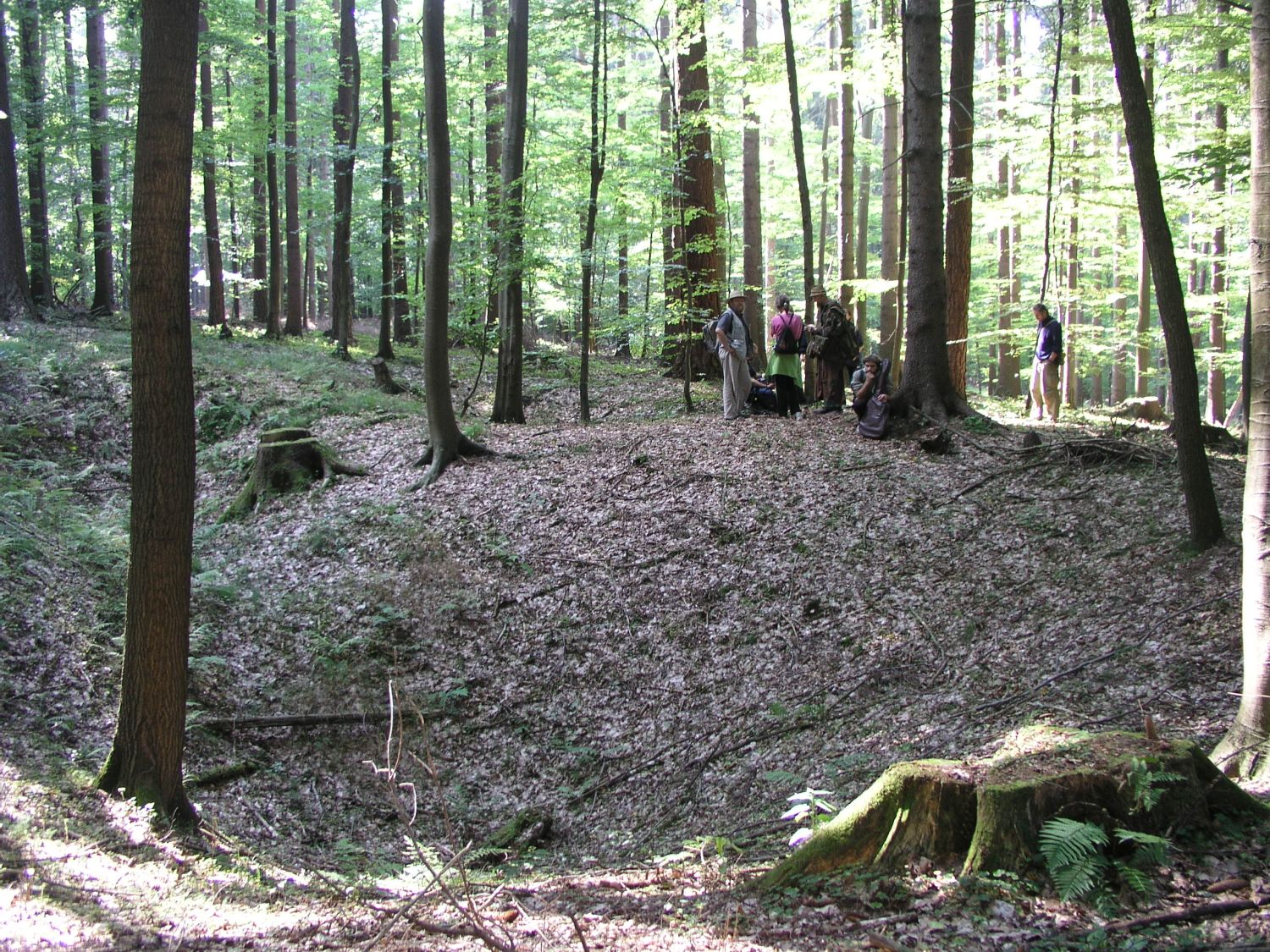 Někde na Habrůvecké plošině (2005).