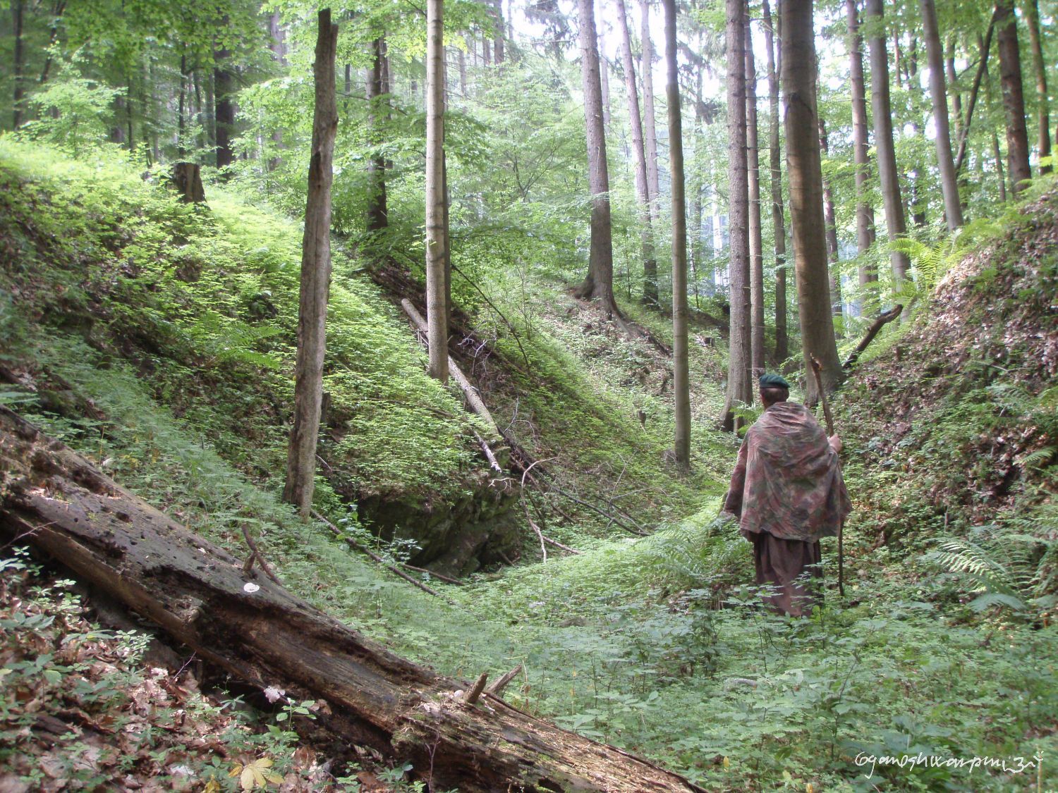 Poustevník Gyaneshwarpuri nad Gotickou chodbou Býčí skály. Rudicko - Habrůvecká plošina, Moravský kras - střed. Foto: Marek Gyaneshwarpuri, samospoušť 2008.