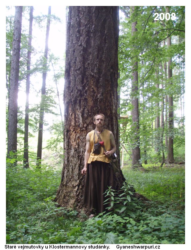 U starých vejmutovek u Klostermannovy studánky.  Foto: Marek Gyaneshwarpuri, samospoušť 2008.