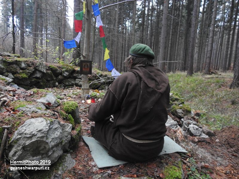 Děravka - Mahéšvaránandova posvátná lípa - meditace. Foto: Marek Gyaneshwarpuri, samospoušť 2019.