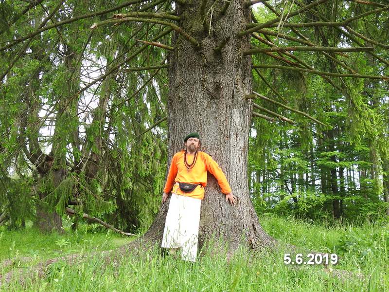 Tři smrky u Ruprechtova - meditace. Foto: Marek Gyaneshwarpuri, samospoušť 2019.