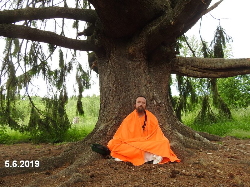 Tři smrky u Ruprechtova - meditace. Foto: Marek Gyaneshwarpuri, samospoušť 2019.