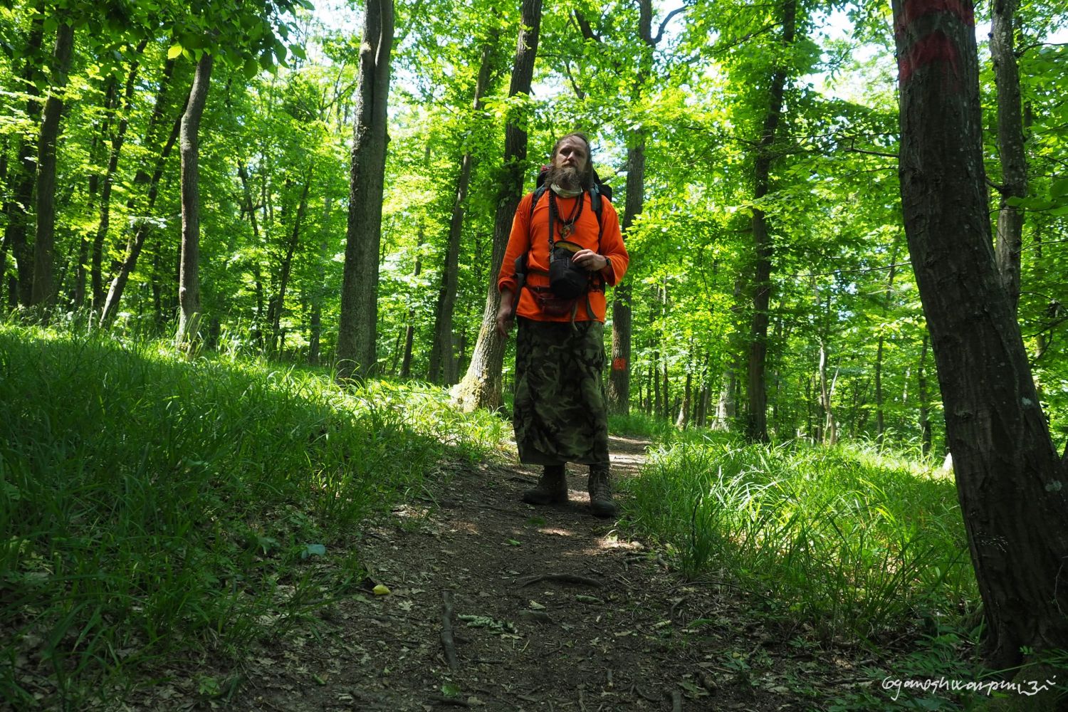 Mokerská plošina - směrem k jeskyni Slezákova díra.  Foto: Marek Gyaneshwarpuri, samospoušť 2020.