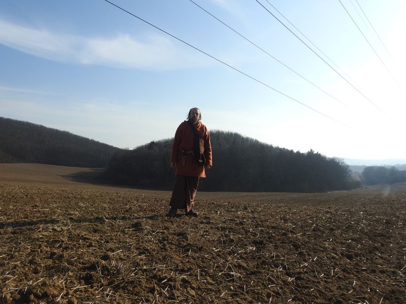 Hradisko u Bosonoh - na poli pod hradiskem.  Foto: Marek Gyaneshwarpuri, samospoušť 2020.