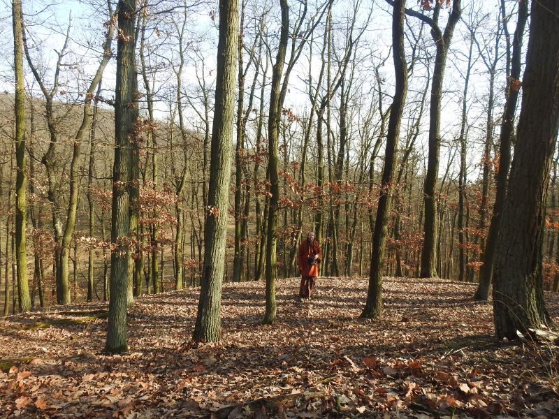 Hradisko u Bosonoh - pravěký val, který obkružuje ostrožnu.  Foto: Marek Gyaneshwarpuri, samospoušť 2020.