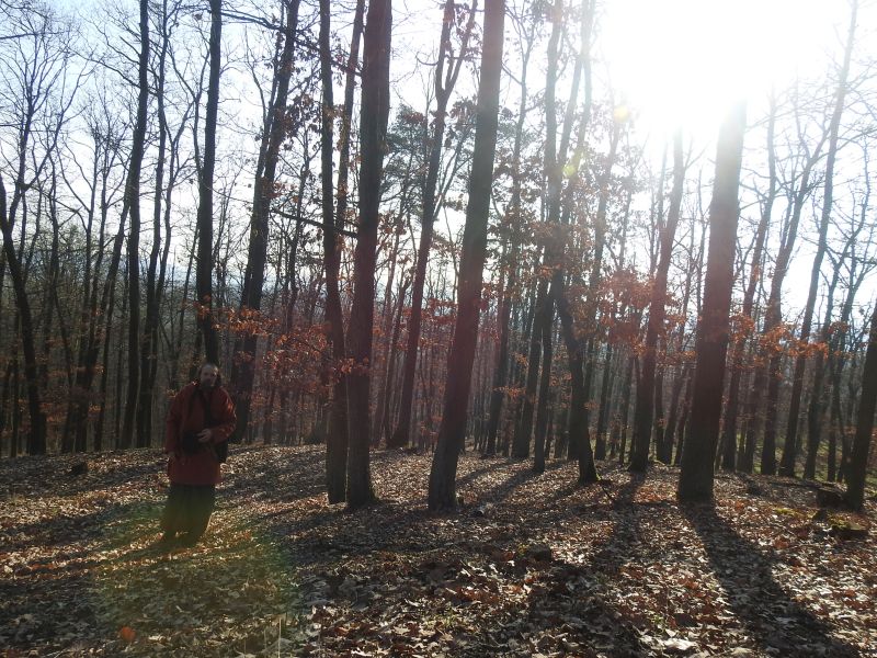 Hradisko u Bosonoh - pravěký val, který obkružuje ostrožnu.  Foto: Marek Gyaneshwarpuri, samospoušť 2020.