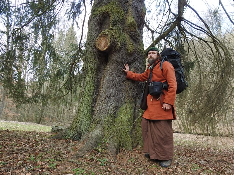 Smrk před Výpustkem ve Křtinském údolí.  Foto: Marek Gyaneshwarpuri, samospoušť 2020.