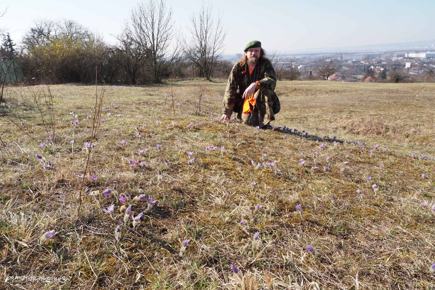 Stránská skála - koniklecová louka. Foto: Marek Gyaneshwarpuri, samospoušť 2021