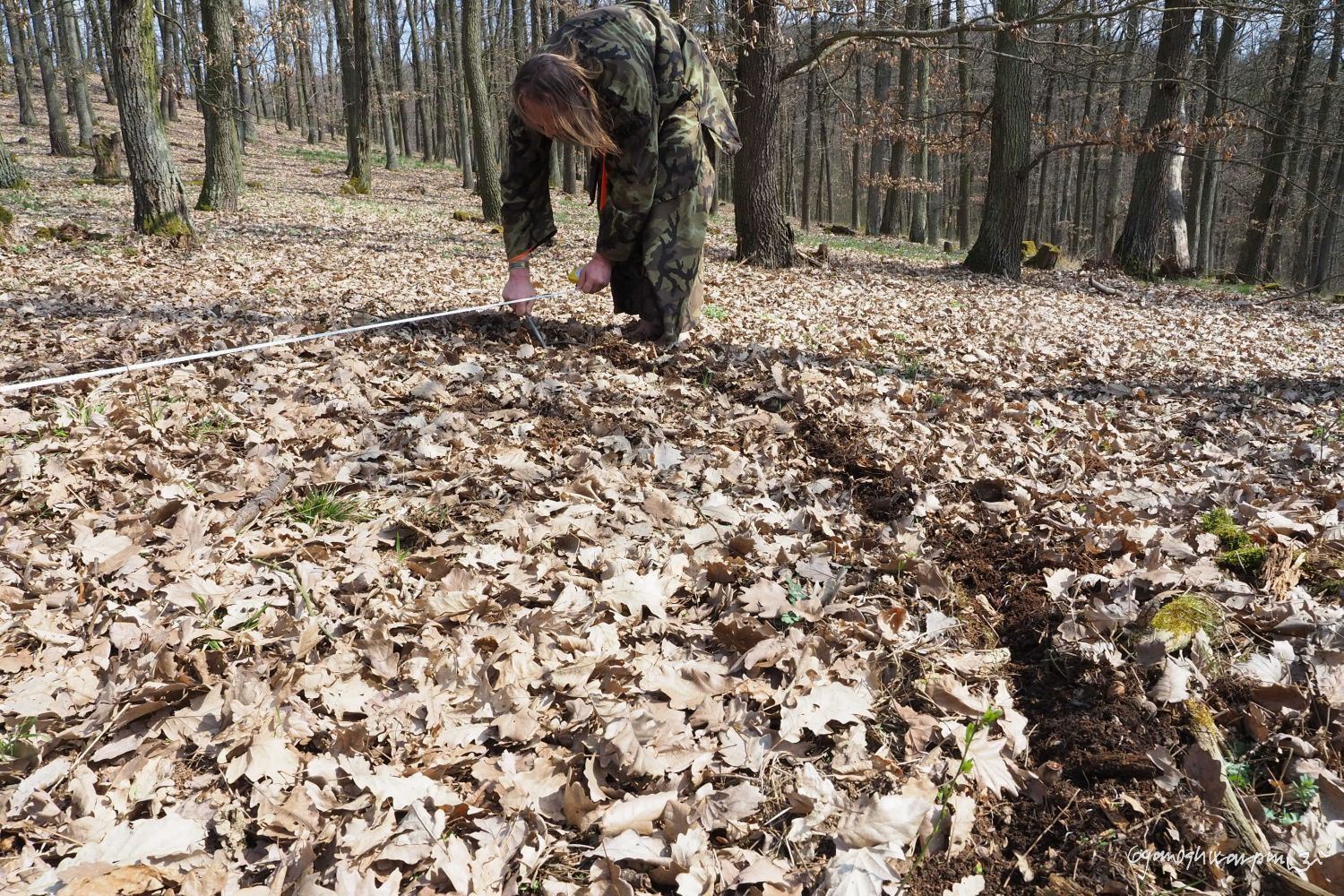 Hradisko u Bosonoh - vytyčování kamenného kruhu. Foto: Marek Gyaneshwarpuri, samospoušť 2021