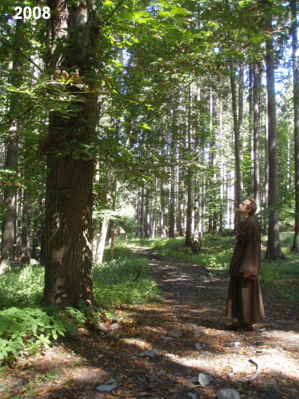 Děravka: pod kaštanem.

.



Foto: Marek Gyaneshwarpuri (2008).