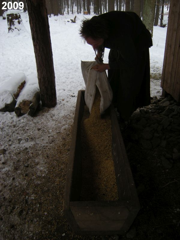Děravka: péče o zvěř v seníku na Chvalkově.

Foto: Marek Gyaneshwarpuri (2009).