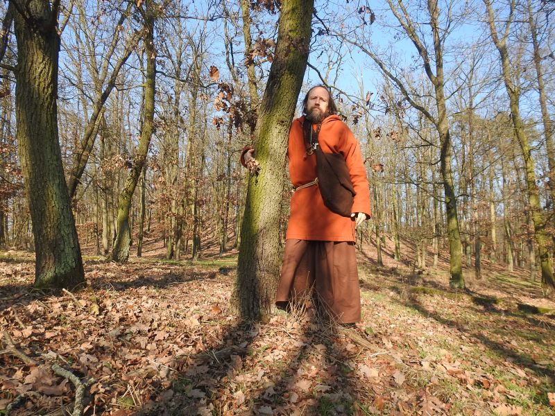 Hradisko u Bosonoh. Podle keltských legend jsou duby dušemi reinkarnovaných keltských svatých mužů - druidů. 







 (2020).