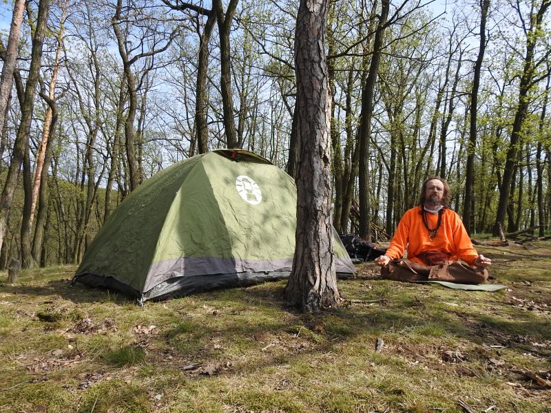 Hradisko u Bosonoh.    










 (2020).
