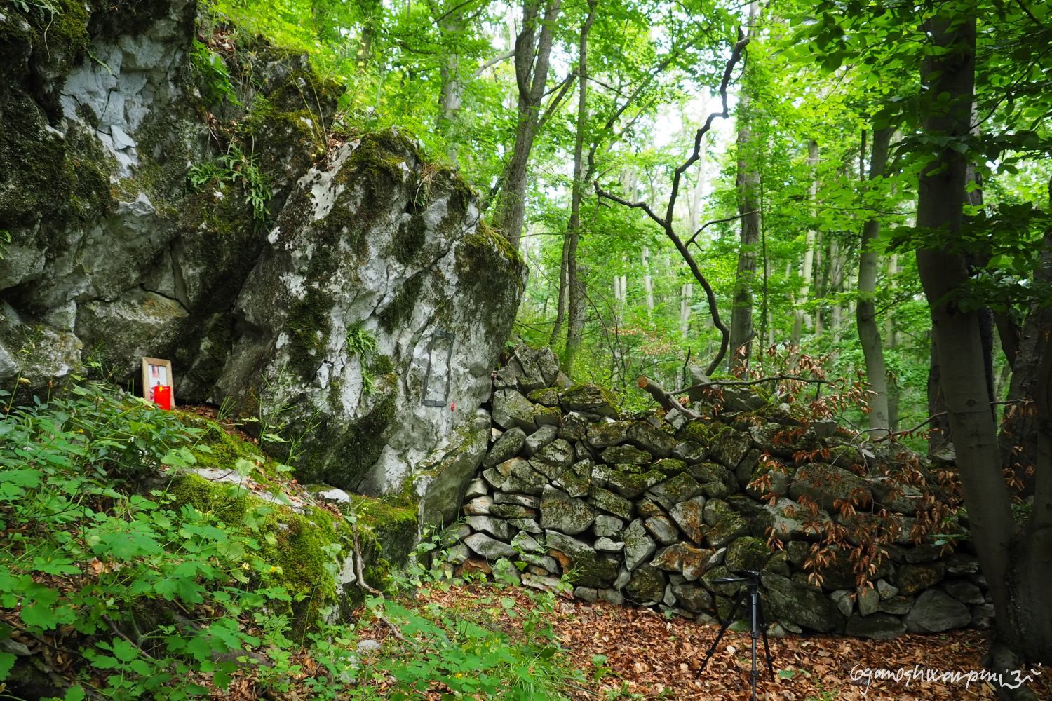 Poustevna na Močové - Habrůvecká plošina. Foto: Marek Gyaneshwarpuri (2020).