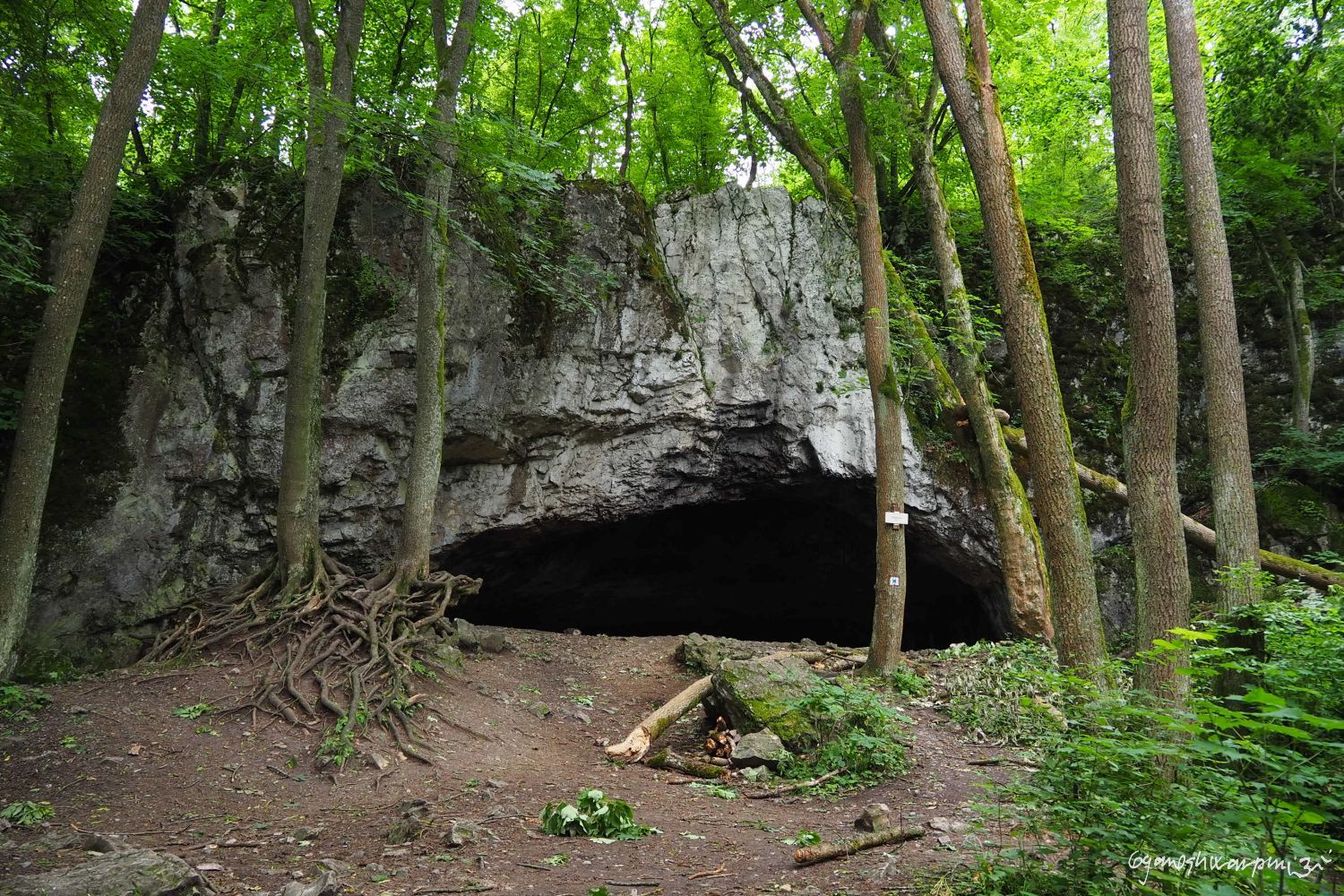 Jeskyně Pekárna v Hádeckém údolí mysticky Foto: Marek Gyaneshwarpuri (2021).