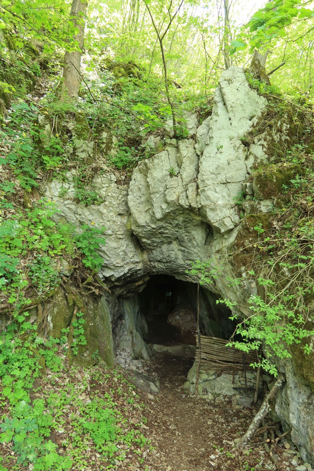 Křížova jeskyně v Hádeckém údolí. Foto: Svámí Gyaneshwarpuri (2026).